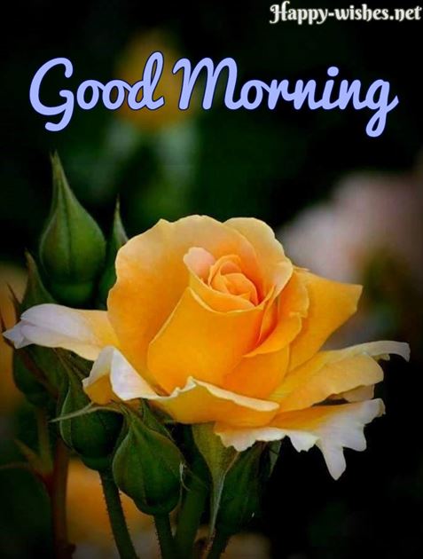Good Morning Thursday Funny Quotes Good Morning Sms